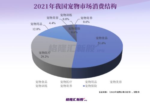 从宠物粮赛道到创业孵化 一位70后上海企业家的双轨征途